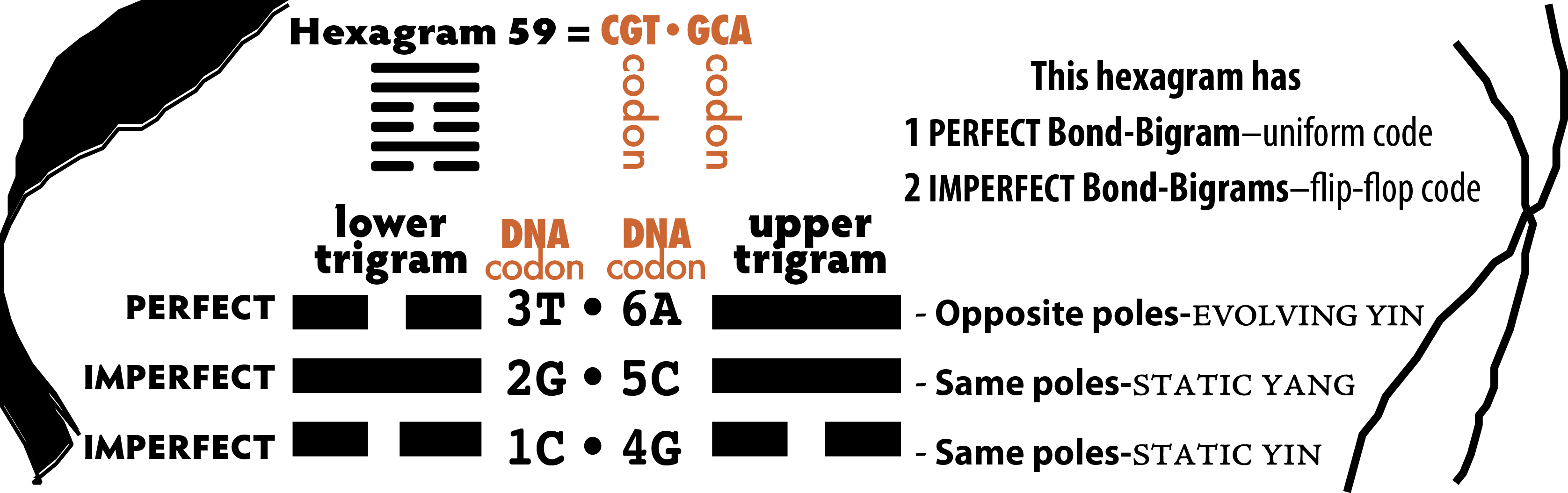 8-DNA-Hexagram 59
