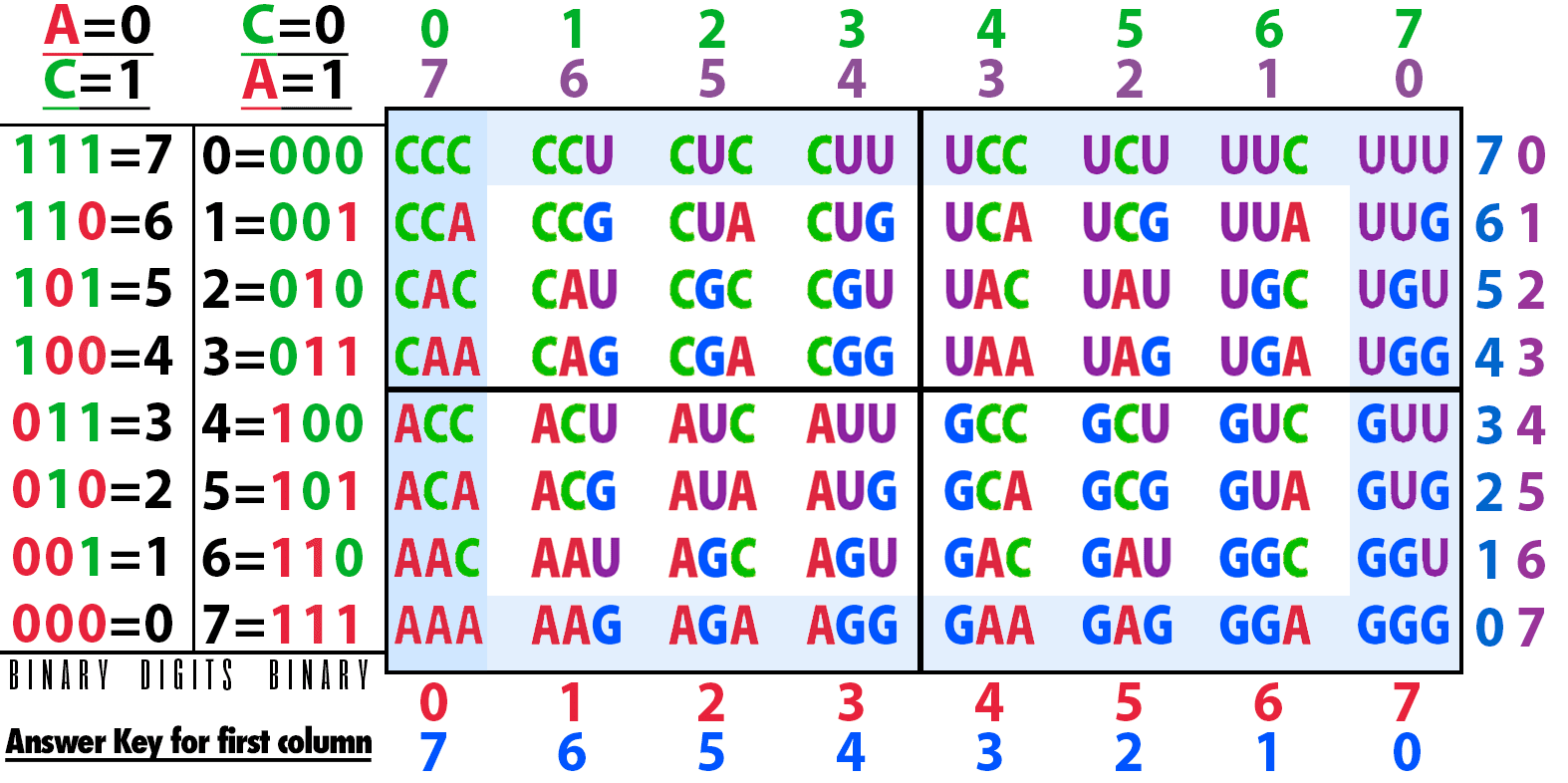 9-RNA-puzzle