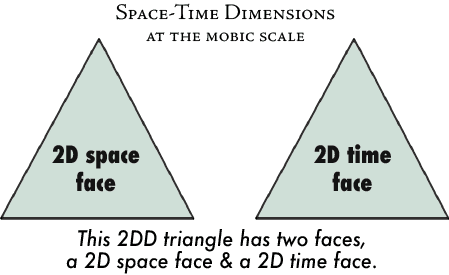 4-2DD-triangle