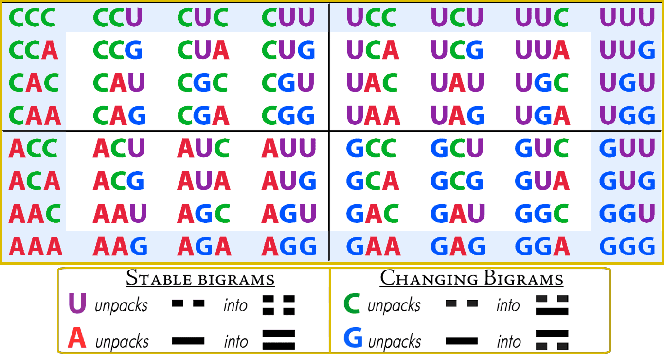 12-RNA-decoder