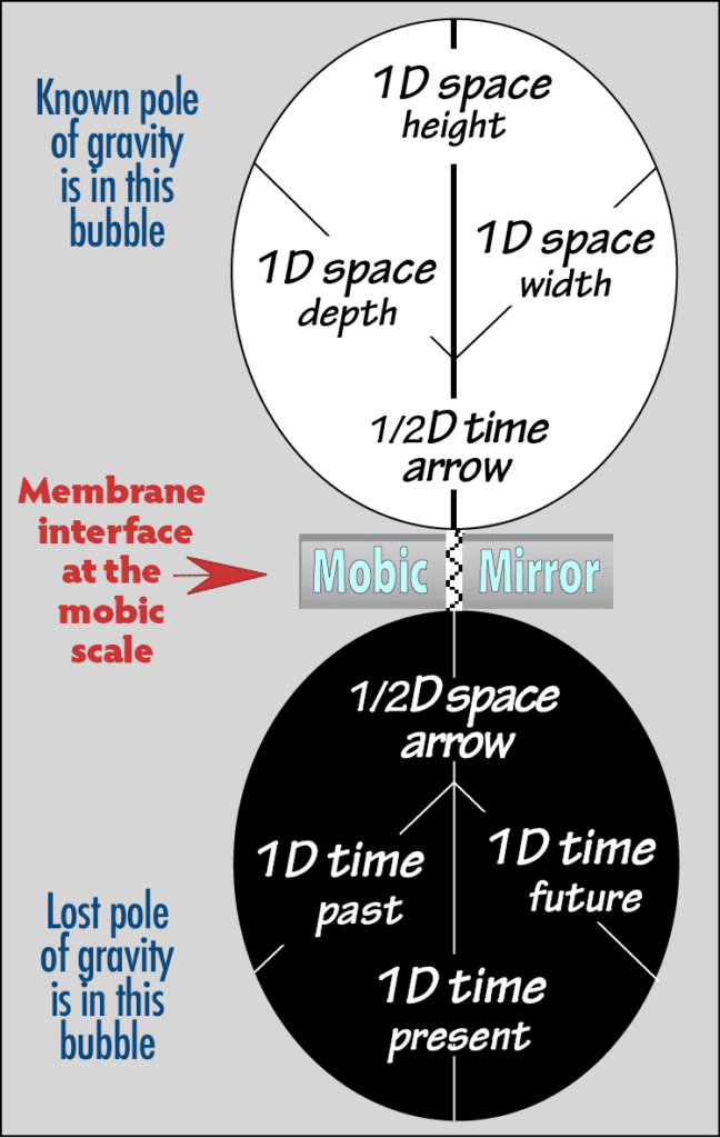 A diagram of the different parts of a mobile mirror.