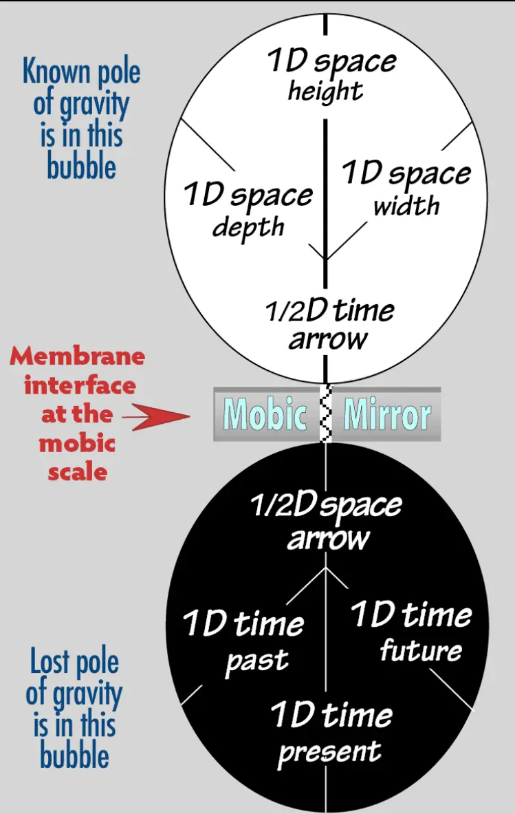 A diagram of the different parts of a mobile mirror.